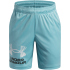 UNDER ARMOUR Tech Logo Shorts Jungen 432 - tech...