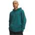 UNDER ARMOUR Essential Fleece Hoodie Herren 203 -...