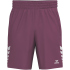 erima Celebrate 125 Shorts Kinder burgundy 116