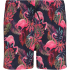 ZigZag Soda Boardshorts Kinder 3673 - print flamingo 6 (116)