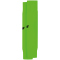 green gecko/black