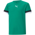 PUMA teamRISE Trikot Kinder team light blue/black/white 152