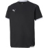 PUMA teamLIGA Trikot Kinder 10 - prism violet/puma white 140