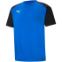 PUMA teamPACER Trikot Herren 03 - PUMA black/smoked...
