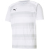 PUMA teamVISION Trikot Herren PUMA red/chili pepper/white...