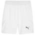 PUMA teamFINAL Shorts Herren 01 - PUMA red/PUMA...