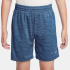 NIKE Multi Dri-FIT Shorts Kinder 011 - black/lt smoke...