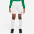 NIKE Park III Dri-FIT Fußball Shorts Kinder 104 -...