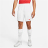 NIKE Park III Dri-FIT Knit Fußball Shorts Herren...