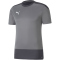 steel gray/asphalt