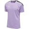 lavendula