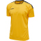 sports yellow/black