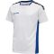 white/true blue