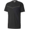 puma black
