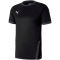 puma black/asphalt