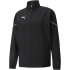 PUMA teamRISE Sideline Präsentationsjacke electric...