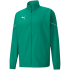 PUMA teamRISE Sideline Präsentationsjacke electric...