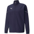 PUMA teamRISE Sideline Präsentationsjacke electric...
