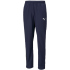 PUMA teamRISE Sideline Präsentationshose...