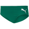 power green