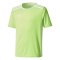 solar green/white