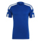 team royal blue/white
