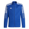 team royal blue