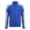 team royal blue/white