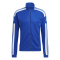 team royal blue/white