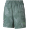 laurel wreath/elektro green