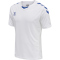 white/true blue
