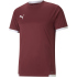 PUMA teamLIGA Trainingsshirt Herren 53 - fire orchid S