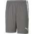 PUMA teamLIGA Trainingsshorts Herren 09 - cordovan/puma...