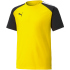 PUMA teamPACER Trainingsshirt Kinder cyber...