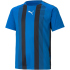 PUMA teamLIGA Striped Trainingsshirt Kinder cyber...