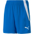PUMA teamLIGA Trainingsshorts Kinder grape wine/puma...