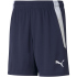 PUMA teamLIGA Trainingsshorts Kinder grape wine/puma...