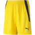 PUMA teamLIGA Trainingsshorts Kinder grape wine/puma...