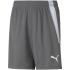 PUMA teamLIGA Trainingsshorts Kinder grape wine/puma...