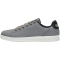 frost gray