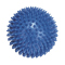 Blau ( Ø 10 cm )