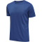 7045 - true blue