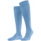 cornflower blue