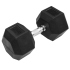 TRENDY SPORT Hex Dumbbell Hantel sechseckig schwarz 1 kg