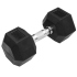 TRENDY SPORT Hex Dumbbell Hantel sechseckig schwarz 1 kg
