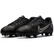 black/metallic gold-metallic silver