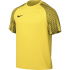 NIKE Dri-FIT Academy Fußballtrikot Herren pine...