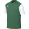 pine green/white/white