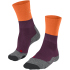 dark mauve
