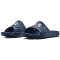 401 - academy/academy/white